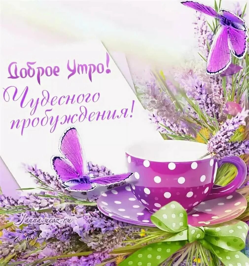 Доброго апрельского дня и хорошего настроения картинки. Пожелания с добрым весенним утром. Доброе Весеннее утро. Доброе утро пожелания красивые.