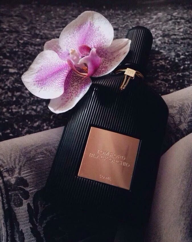 Tom Ford Perfume Black Orchid. Том Форд Блэк орхид. Духи Tom Ford Black Orchid. Духи том Форд Блэк орхид женские.