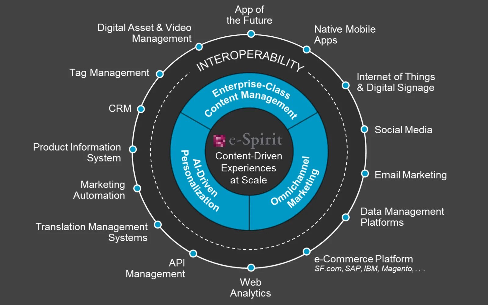 Experience scale. Диджитал платформа. диджитал экспириенс. digital assets. digital experience platform что это.