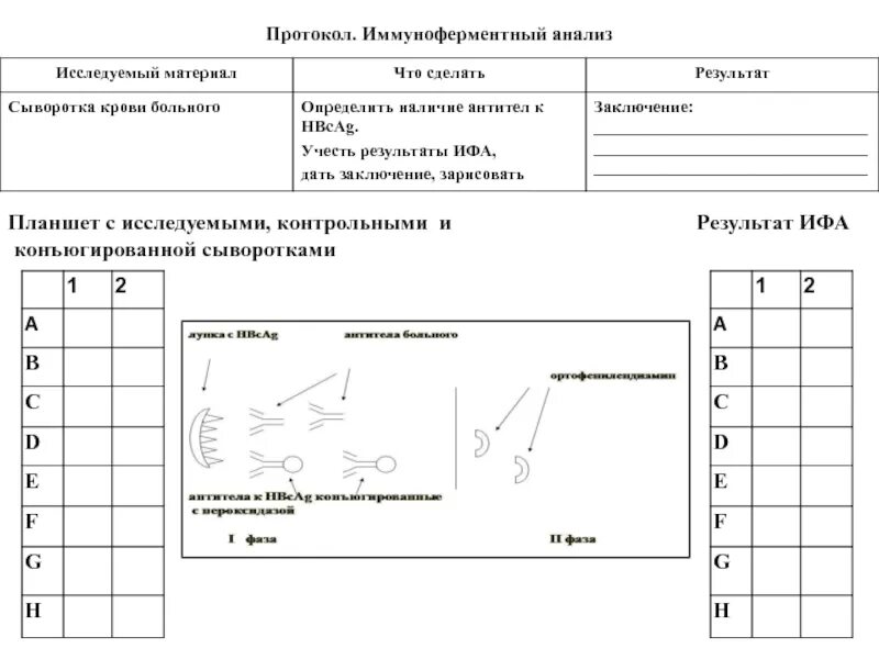 Протокол ИФА. Иммуноферментный анализ планшет. ИФА планшет результат. Планшет ИФА чертеж.