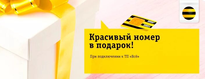 Билайн магазин номер. Красивые номера Билайн. Бронзовый номер Билайн. Номер Билайн акция. Бронзовый красивый номер в подарок.