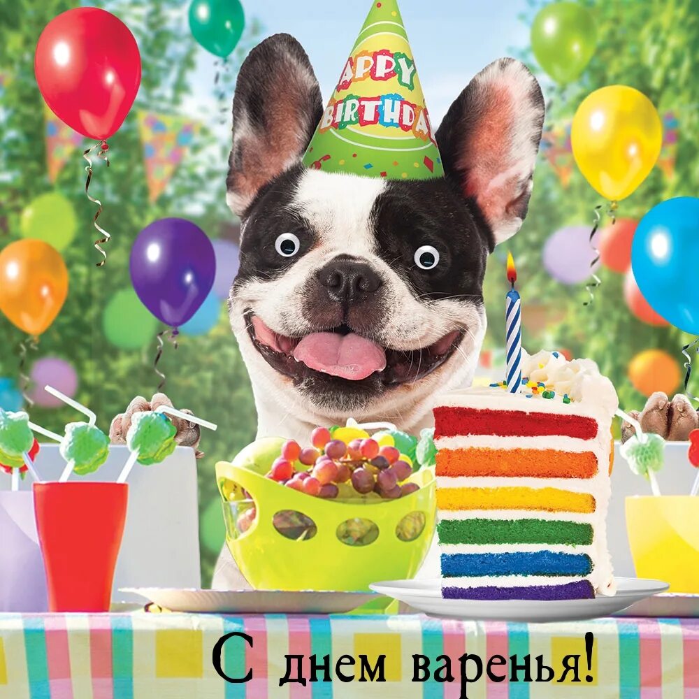 Веселый рождения. Французский бульдог Happy Birthday. Французский бульдог поздравляет с днем рождения. С днём рождения открытка с бульдогом. Открытки с днём рождения с французским бульдогом.