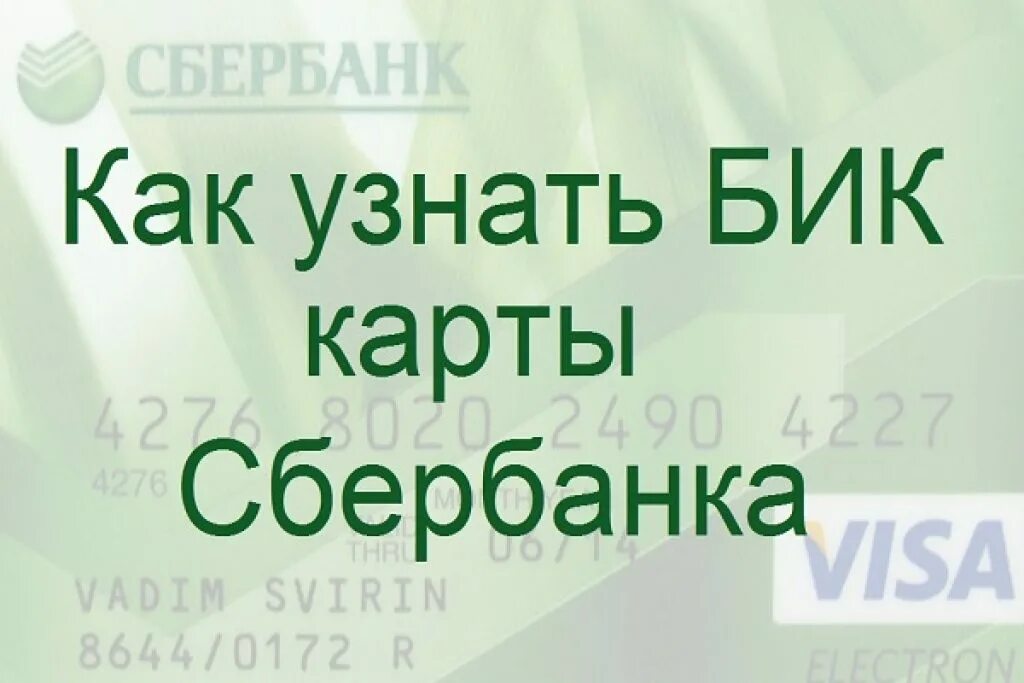 Где бик карты сбербанка. БИК на карте Сбербанка. Как узнать БИК карты Сбербанка. БИК Сбербанка по номеру карты. БИК Сбербанка как узнать.