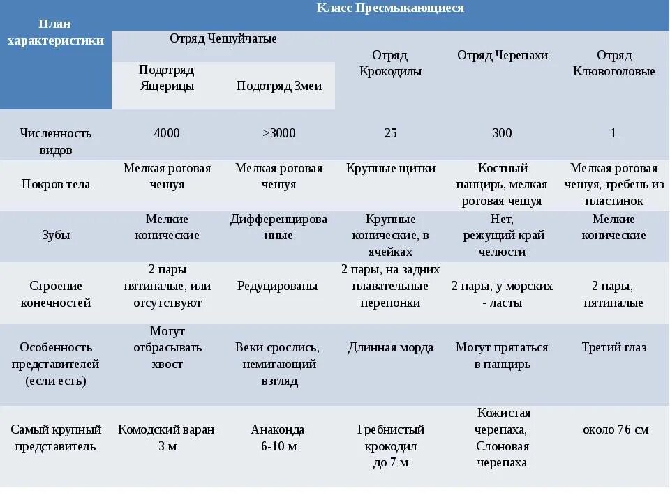 Пресмыкающиеся таблица отряд характеристика представители. Класс пресмыкающиеся 7 класс биология таблица. Таблица характеристика отрядов класса пресмыкающиеся. Таблица сравнительная характеристика пресмыкающихся 7. Пресмыкающиеся отделы тела таблица