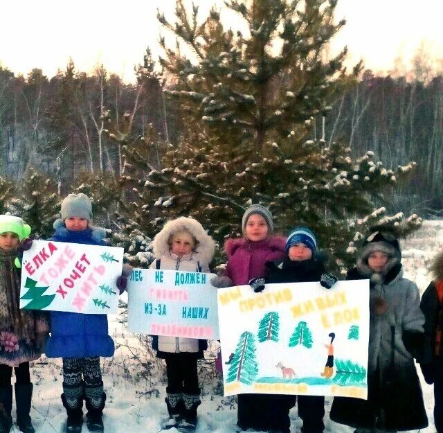 Я против вырубки леса. Протесты против вырубки леса. Я против вырубки леса. Плакат против вырубки лесов. Я против вырубки леса.