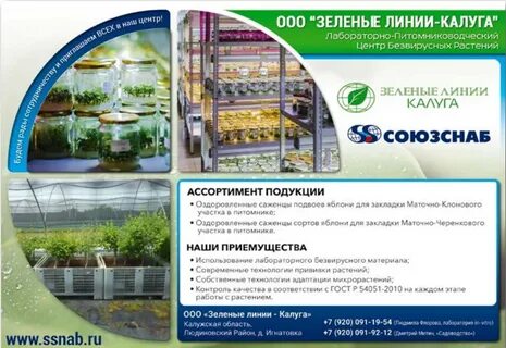 Калуга линия номер телефона