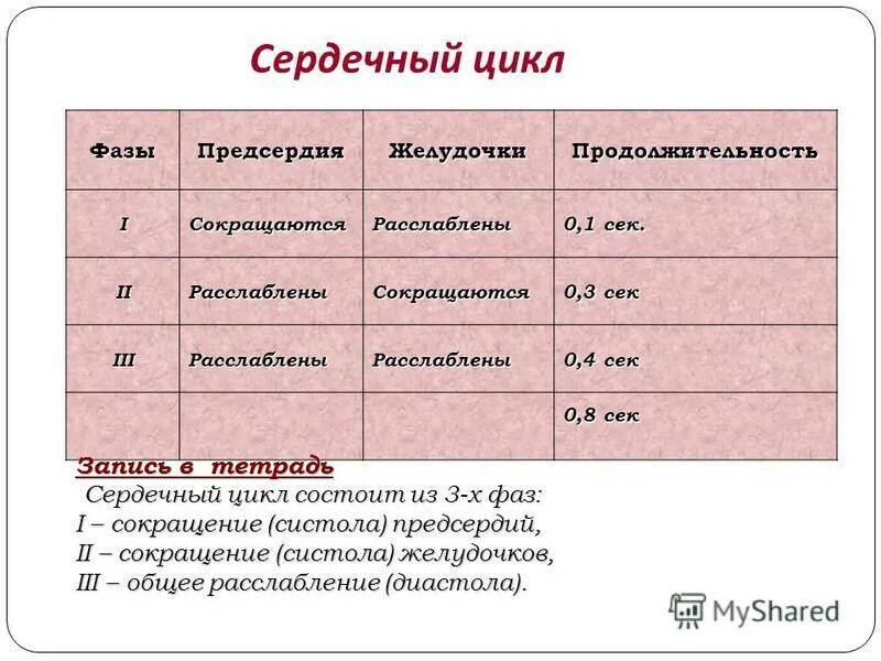Периоды и фазы сердечного цикла таблица. Фазы сердечного цикла. Продолжительность общей сердечной паузы составляет. Характеристика фаз сердечного цикла таблица. Сердечный цикл составляет 0 8 с.