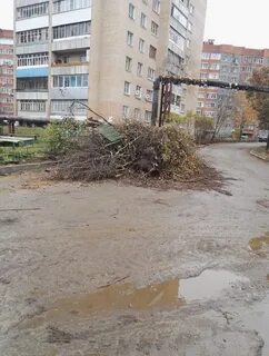 Шевченко 93