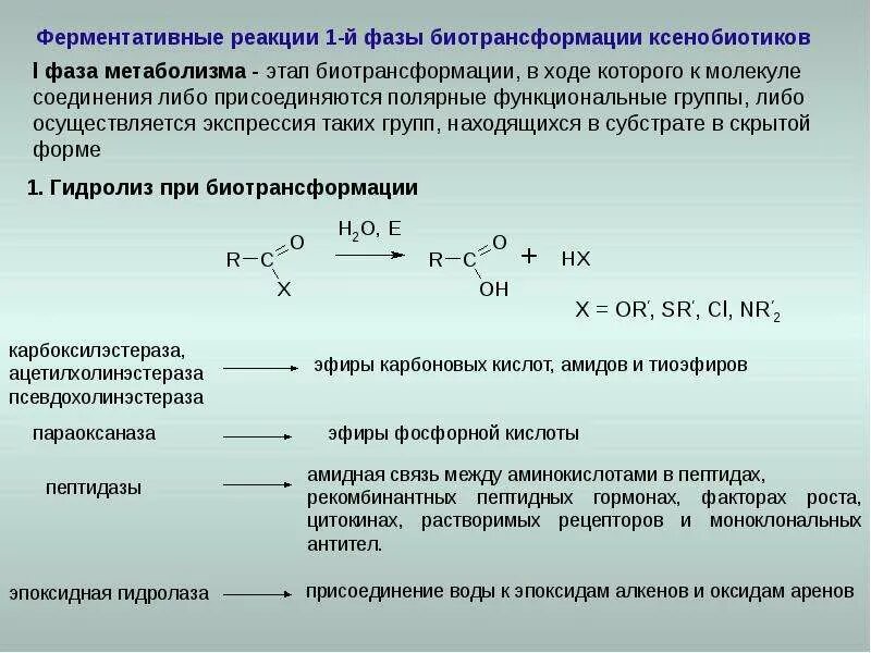 2 фаза биотрансформации. Реакции 2 фазы биотрансформации. реакции 1 фазы биотрансформации. ферменты, катализирующие реакции 1-й фазы биотрансформации. реакции 1 и 2 фазы биотрансформации.
