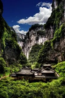 Wulong