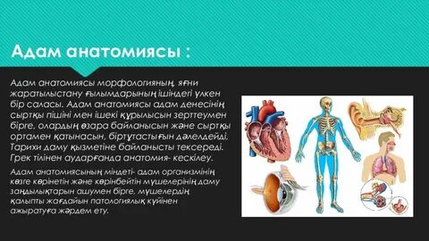 Татар әйелдерінің кеудесі