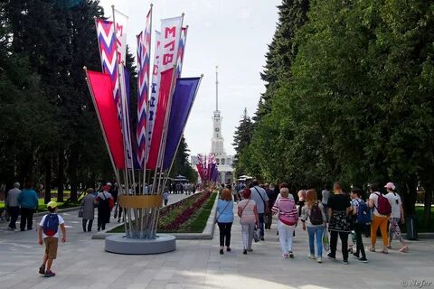 Впечатления в москве