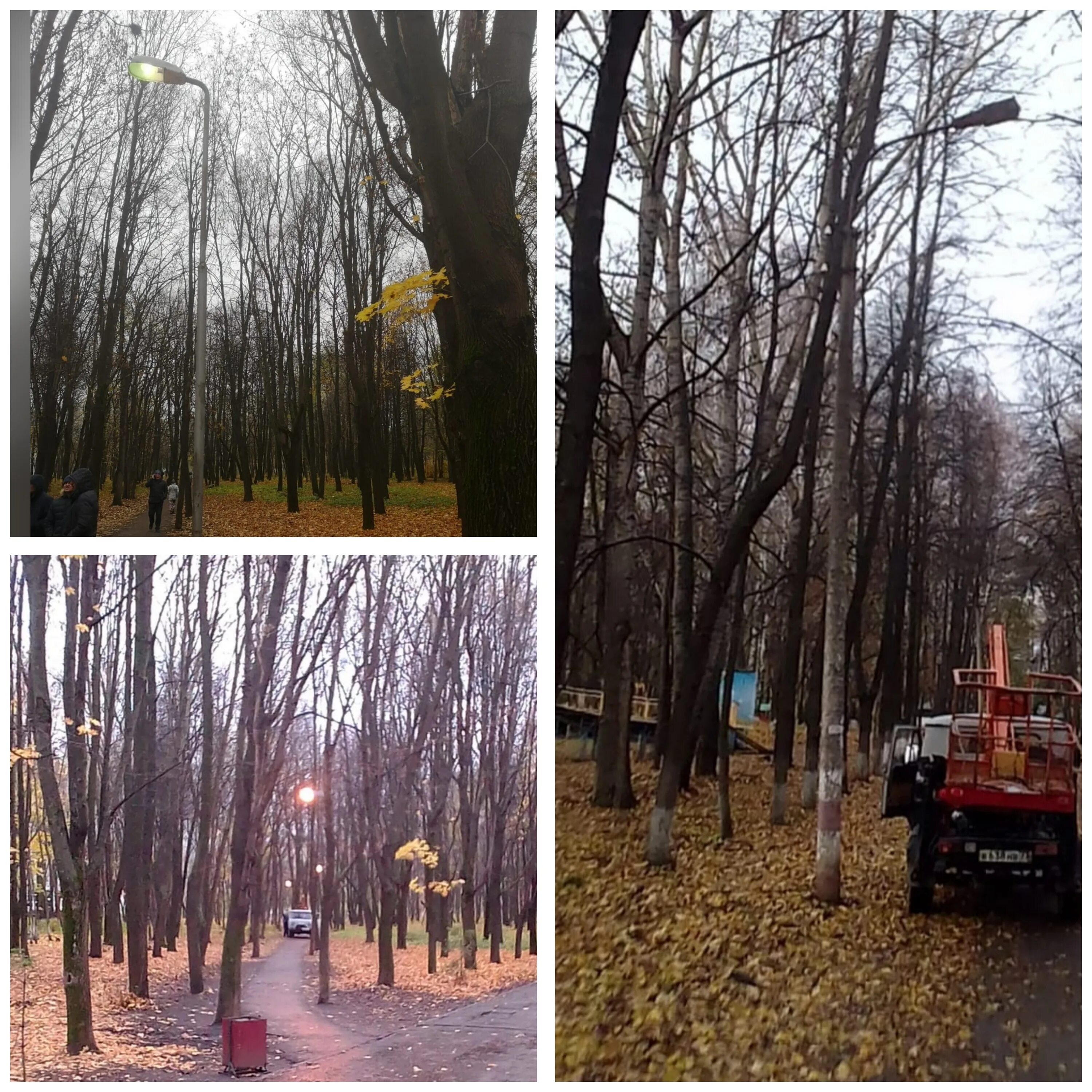 Переехала в ульяновск. Ноябрь в парке. Освещенные парки Ульяновска. Сквер улица Димитрова. Ноябрь фонарь.