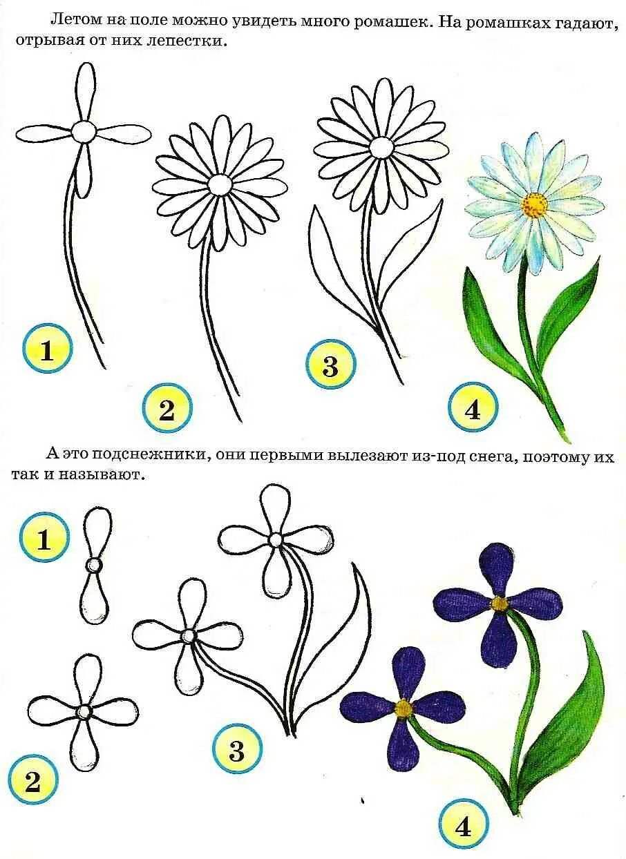 Рисование для начинающих схемы