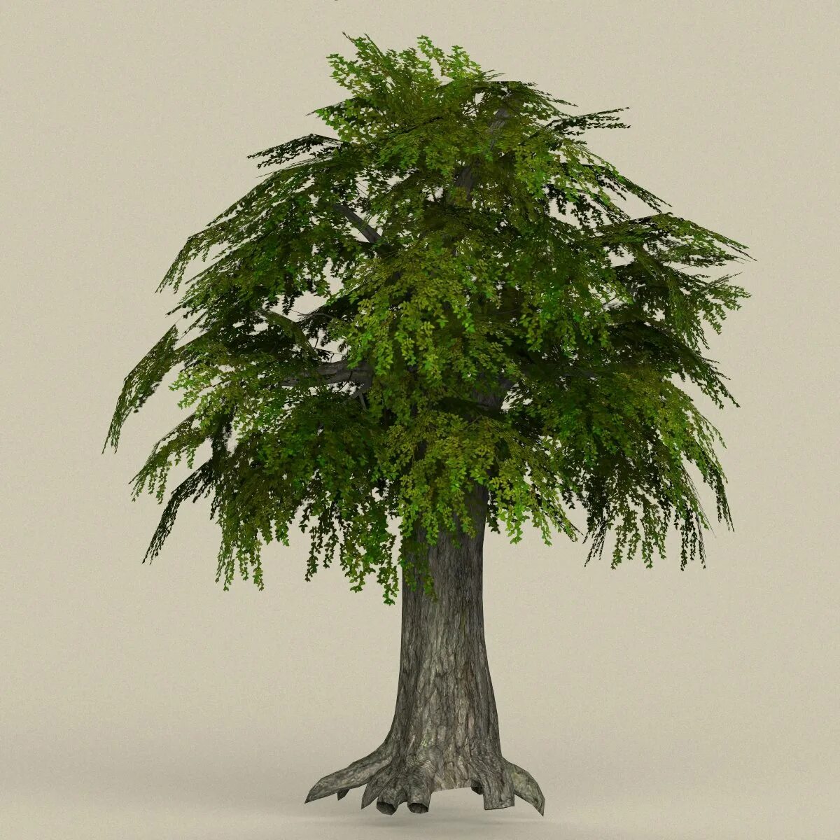 Tree 3ds Max. Модель дерева. 3d модель дерева. Дерево STL модель. Дерево в 3 d
