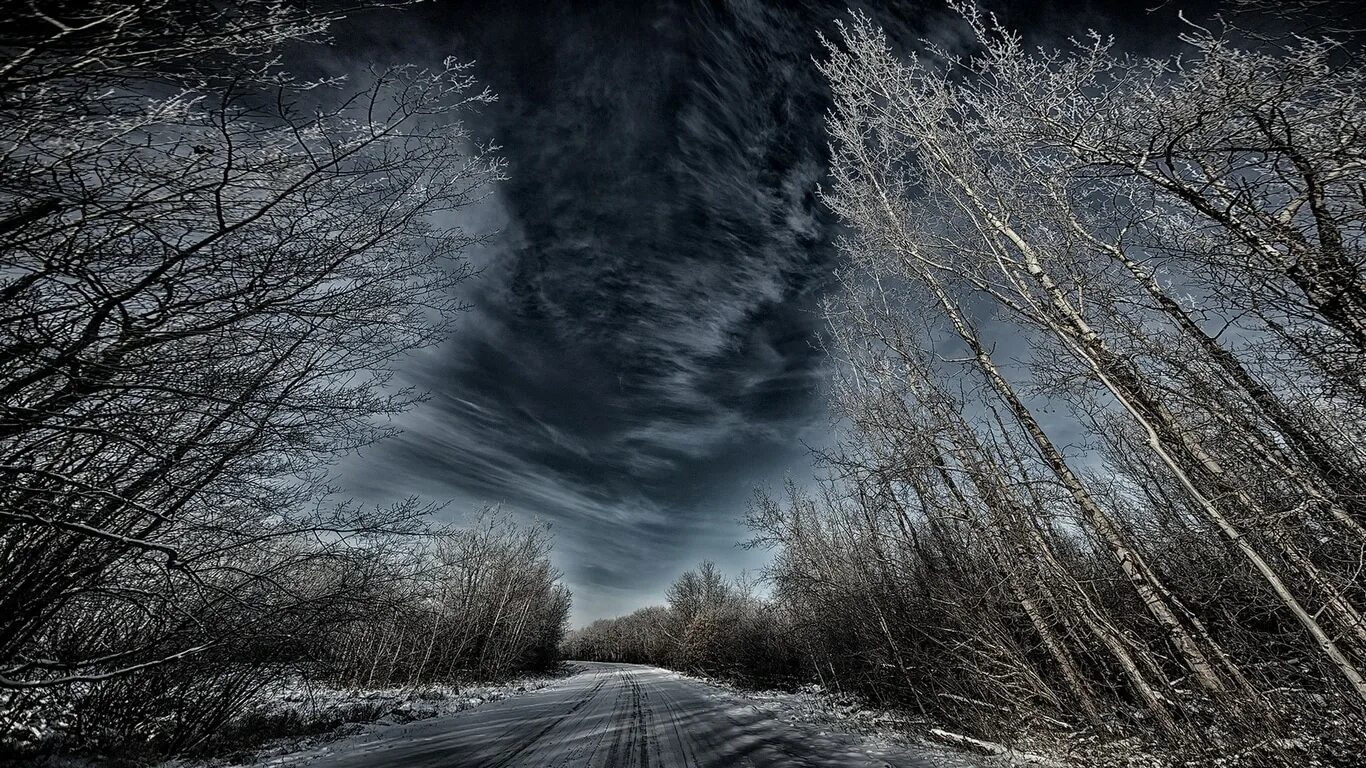 Зимняя ночь. Мрачный зимний лес. Зима арты. Зима ночь. Зимний лес ночью.