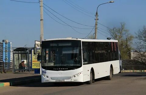 Автобусы видное