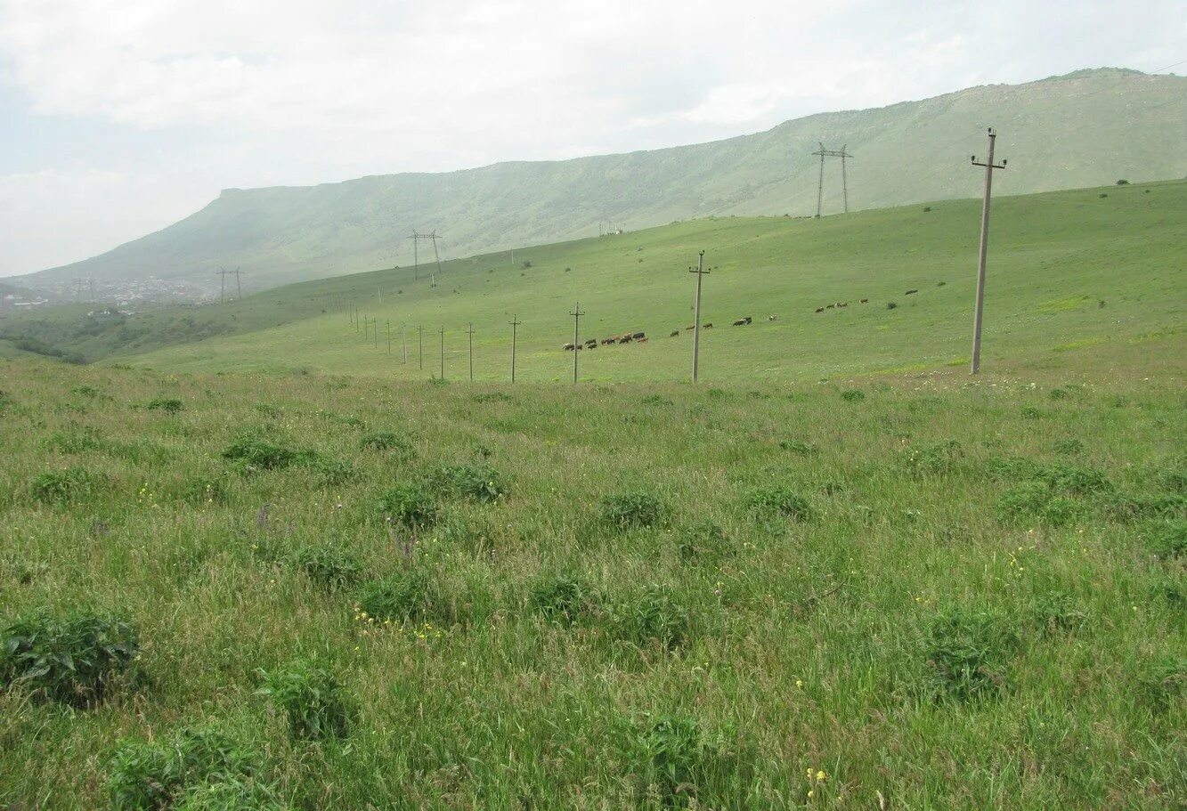 Гора Тарки Тау в Дагестане. Тарки Тау Махачкала. Плато Тарки Тау.