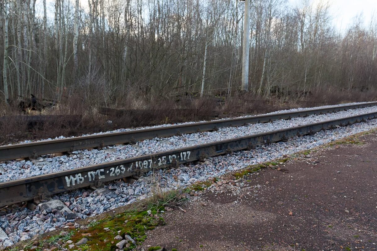 Электрички царское село санкт петербург сегодня. Рогавка Новолисино. Линия Новолисино - Рогавка. Рогавка Новолисино поезд. ЖД станция Рогавка.