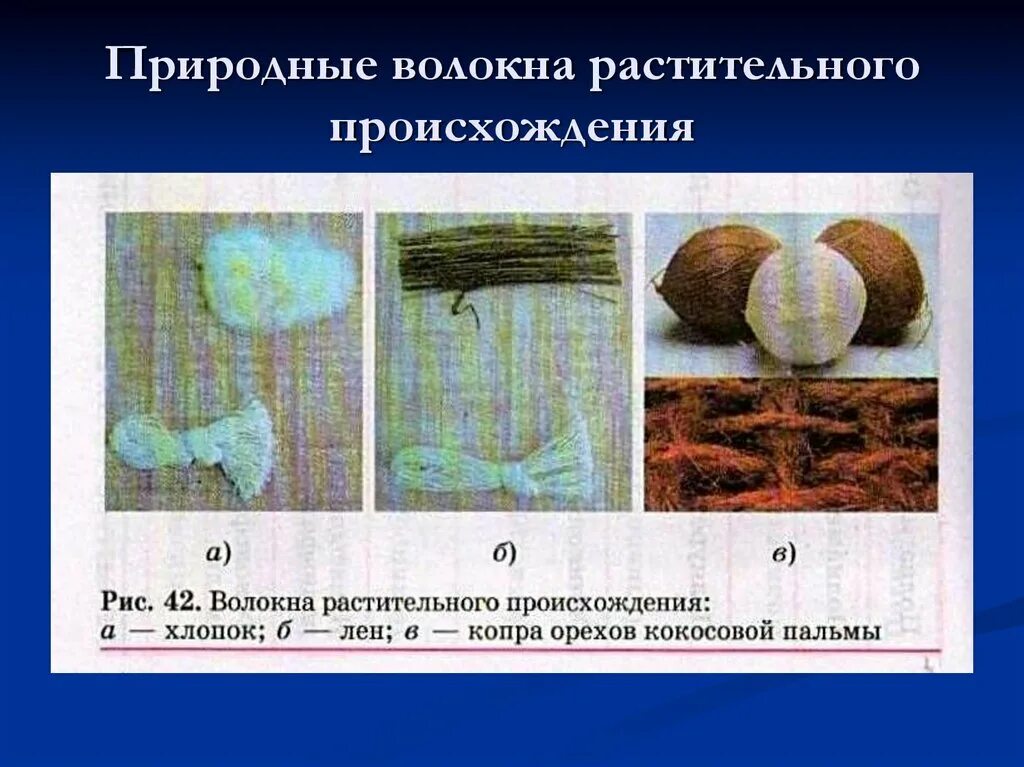 Волокна животного растительного и искусственного происхождения. Волокна растительного происхождения. лен это волокно растительного происхождения. натуральные волокна растительного происхождения. хлопок формула волокна.