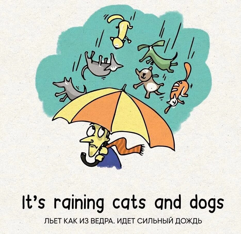 Слово дождь льет как из ведра. Rain Cats and Dogs идиома. Идиомы raining Cats and Dogs. Идиомы на английском. Идиомы it's raining Cats and Dogs.