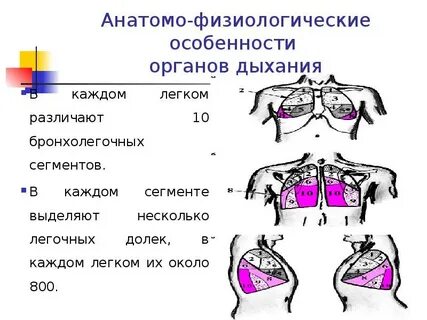 10 каждое легкое