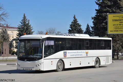 Автобус калитва волгоград