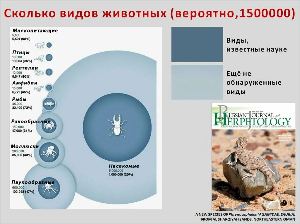 Виды животных сколько их