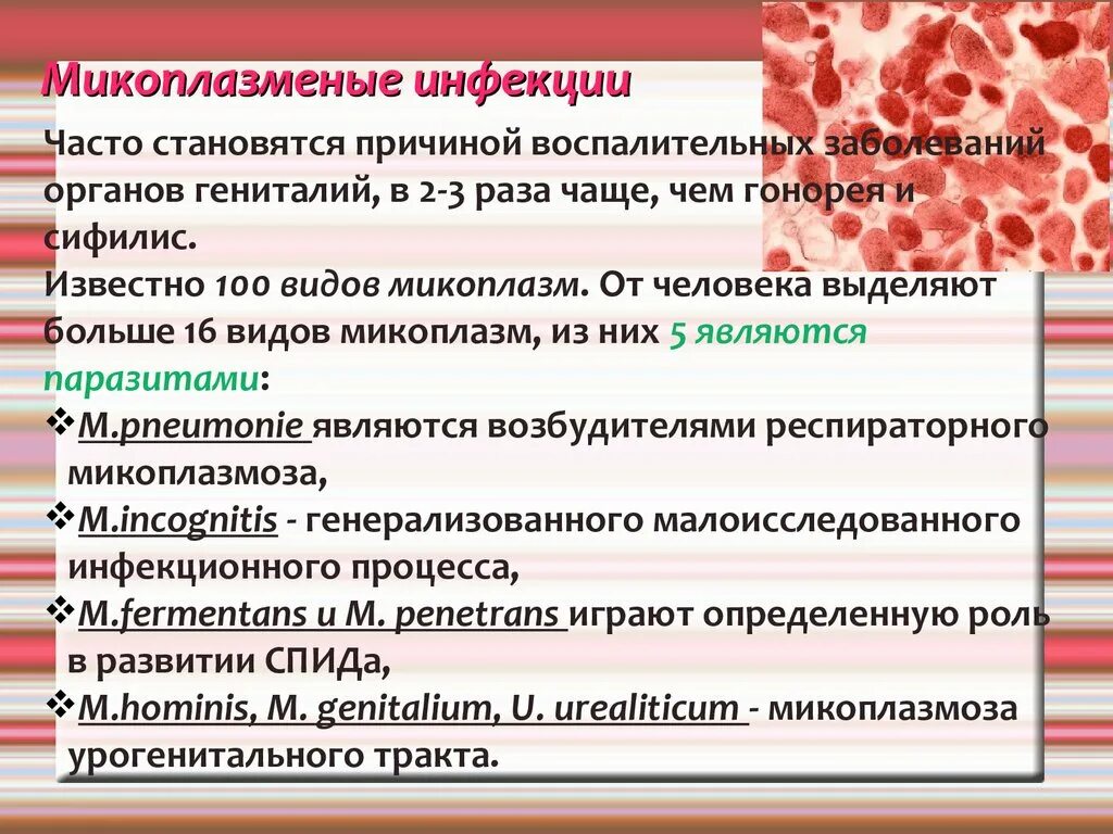 Микоплазма симптомы. Причины микоплазмы у женщин. микоплазма препарат. микоплазмоз и уреаплазмоз у женщин.