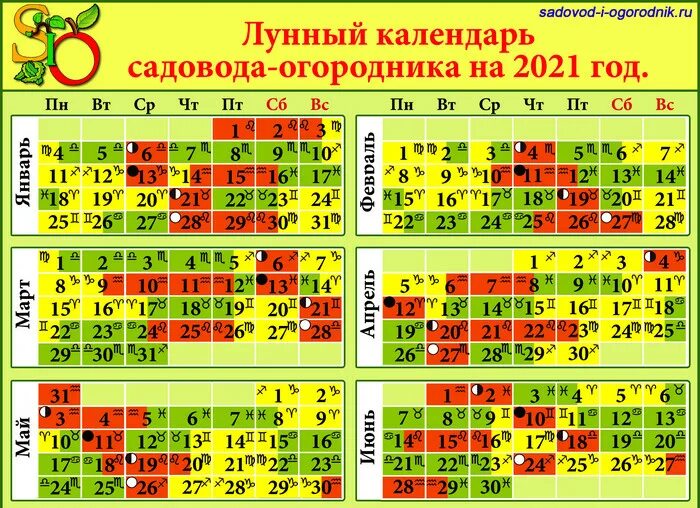 Лунный календарь посадок на 2022 год садовода и огородника таблица. Календарь огородника на 2022 лунный посевной. Посевной календарь на 2022 для огородников лунный. Календарь садовода лунный календарь 2021. Посевной календарь на 2024 год алтайский край