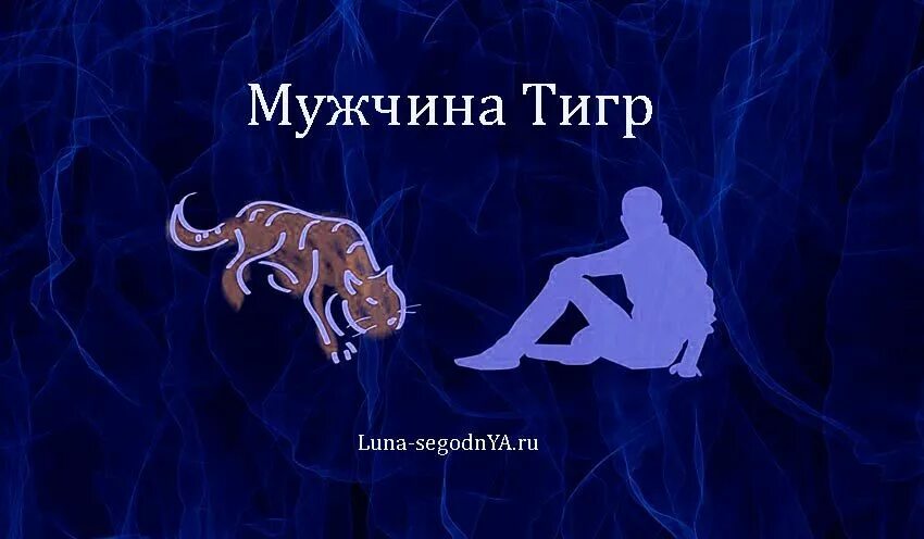 Совместимость мужчины тигра в браке. Тигр весы мужчина. Совместимость тигра. Козерог тигр мужчина. Китайский гороскоп тигр совместимость.