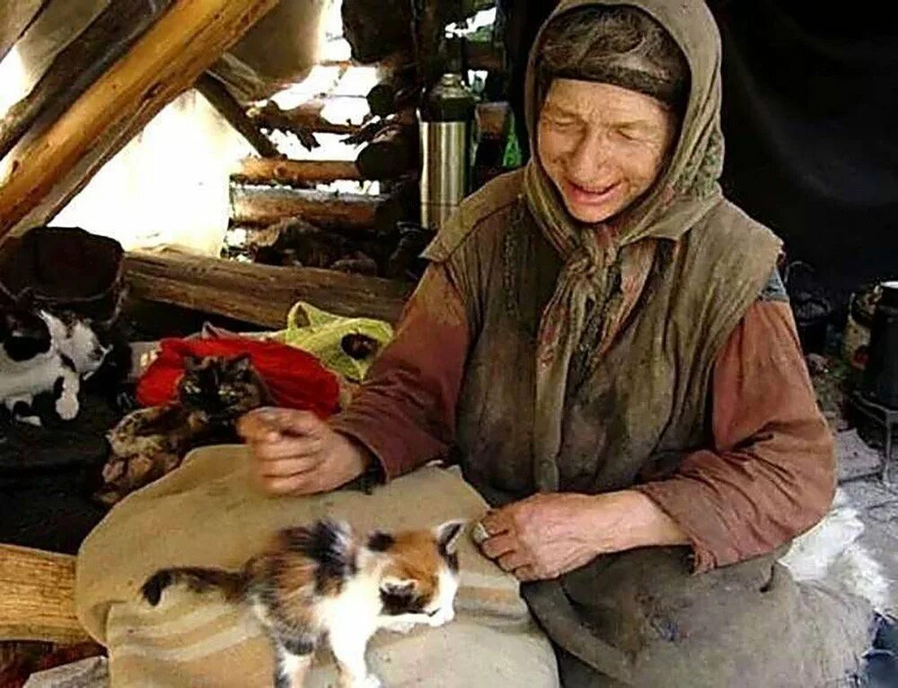 Жизнь в глухой тайге видео