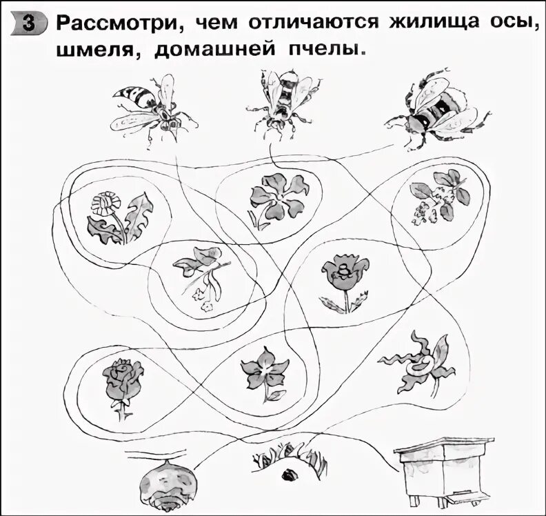 Насекомые задания для дошкольников. Насекомые задания для детей дошкольного возраста. Задания для старших дошкольников насекомые. Задания дошкольникамyfctrjvst.