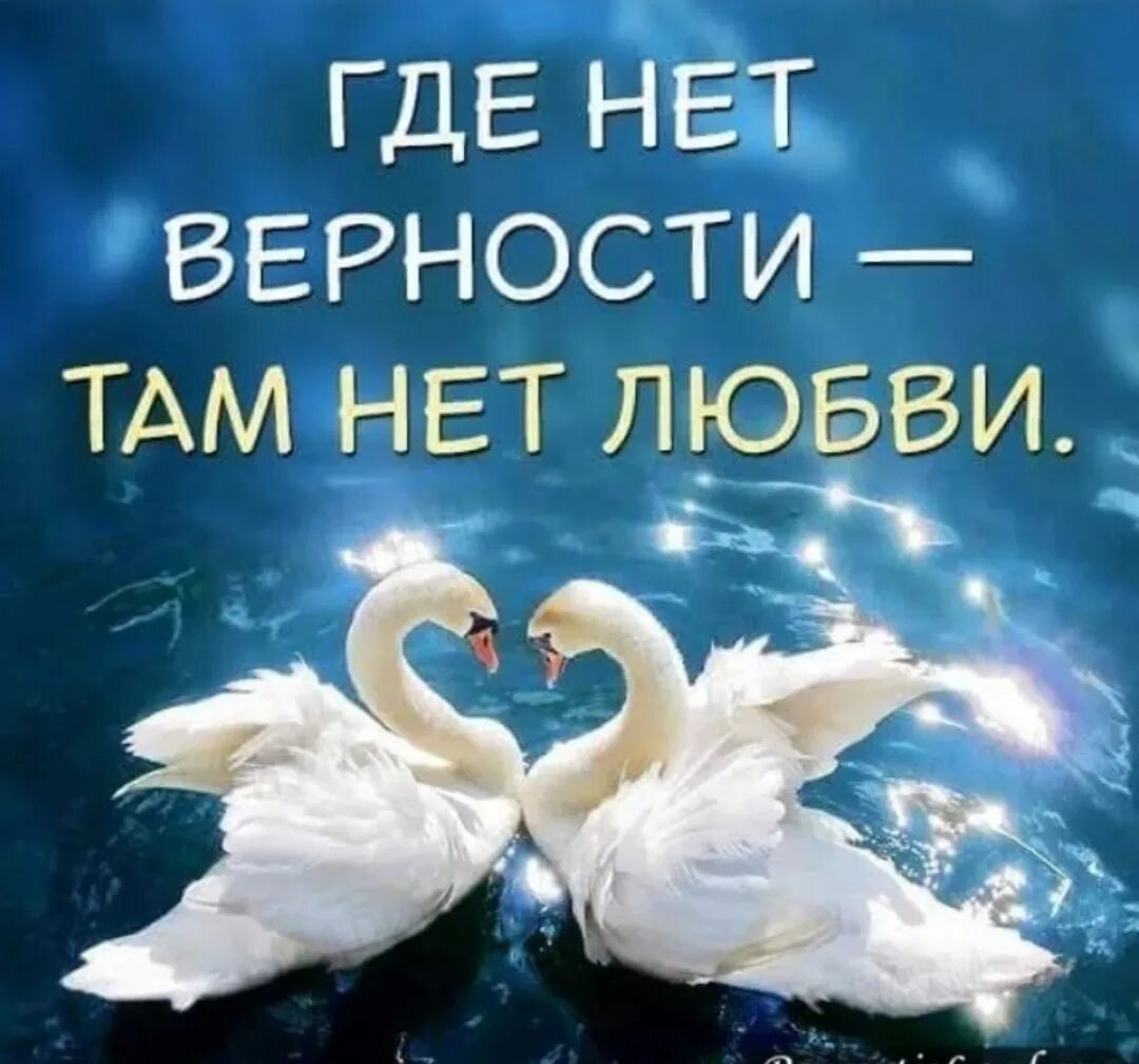 Верность и независимость. Любовь и верность. стихи о любви и верности. верность картинки. цитаты про верность и любовь.