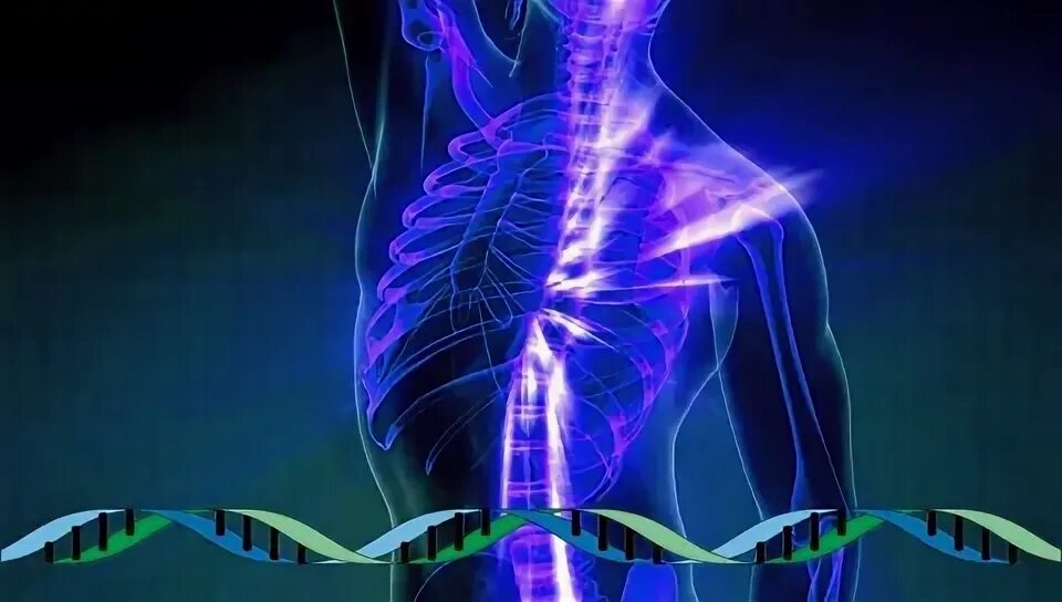 снимок мрт спины. матрица гаряева позвоночник. п п гаряев матрицы для исцеления. лимфатическая система на теле человека. матрица гаряева на похудение.