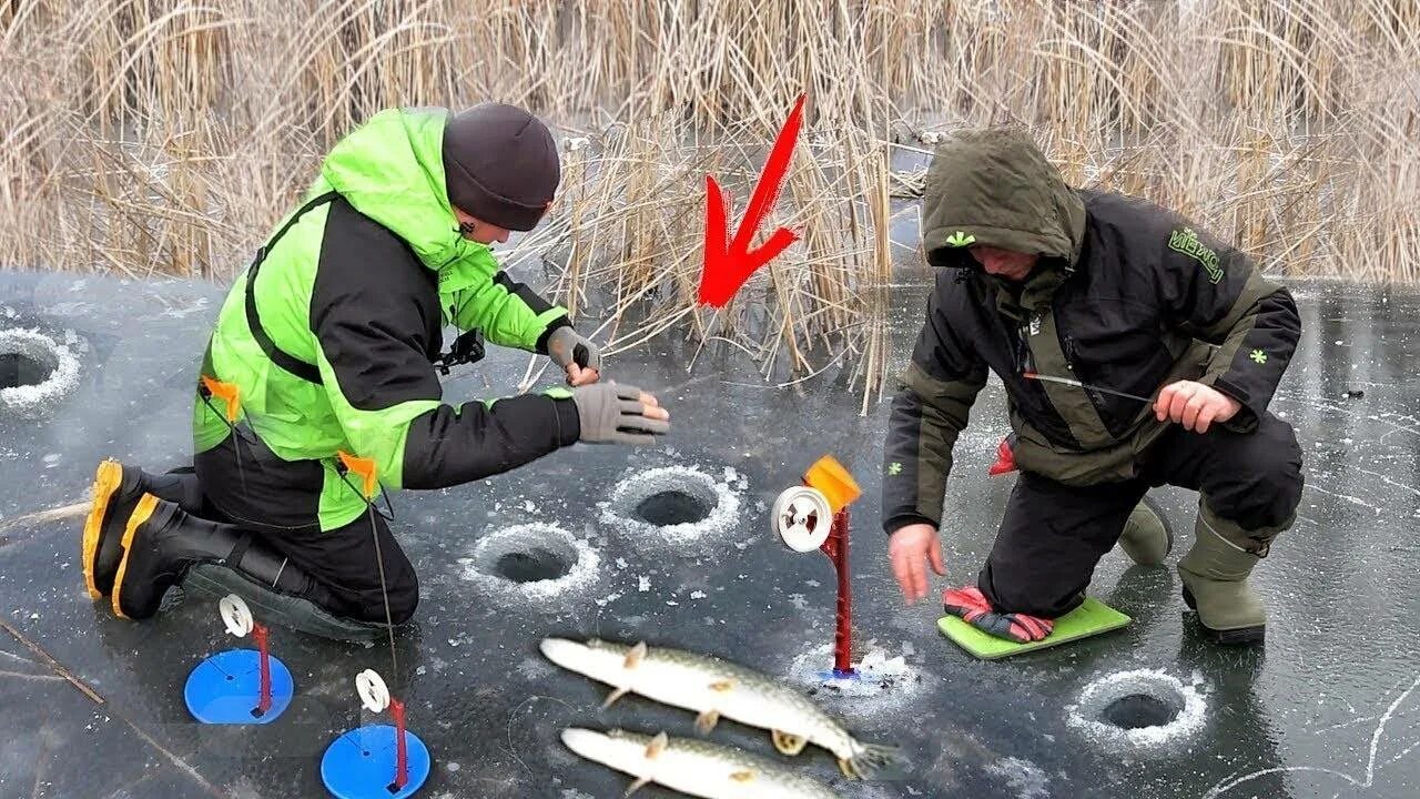 Ловля щуки зимою видео. Зимняя рыбалка на щуку. Ловля щуки на жерлицы. Ловля на жерлицы зимой. Рыбалка на жерлицы зимой на щуку.