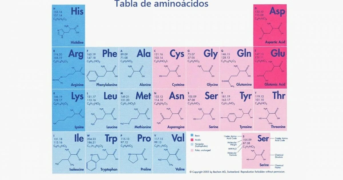 Acid notation игра. 20 amino acids. amino acids table. types of amino acids. 20 basic amino acids.