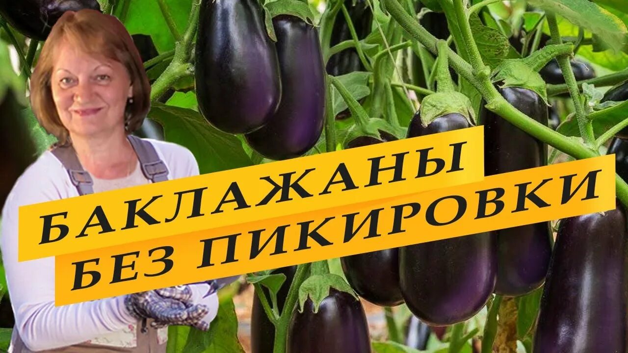 koiko 290 - купить по выгодным ценам в интернет-магазине OZON