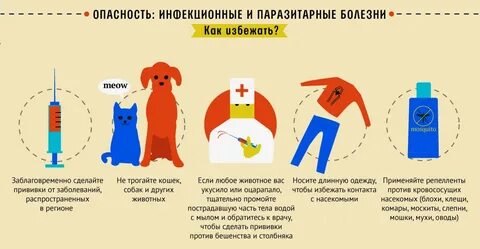 Избежать болезни