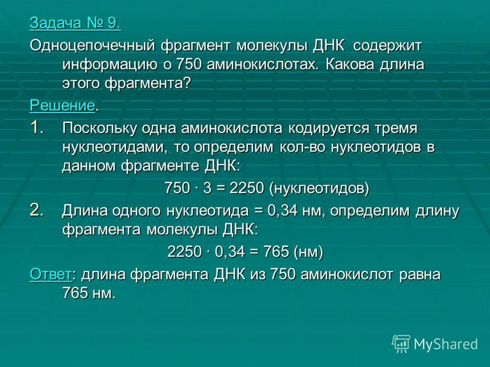Задачи по молекулярной биологии. Фрагмент молекулы днк. Количество нуклеотидов в молекуле днк. Определить длину фрагмента днк. Формула фрагмента цепи рнк.