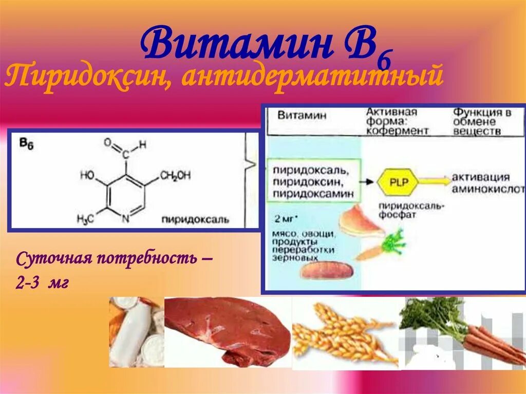 Функции витамина c в организме. Функции витамина c в организме