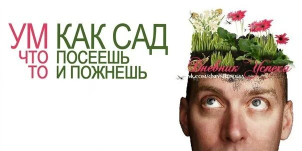 Что посеешь то. Что посеешь тои пжнешь. что посееешь то и позме. что псеяшь то и пожьмёшь. что посеешь то и пожнешь карикатура.