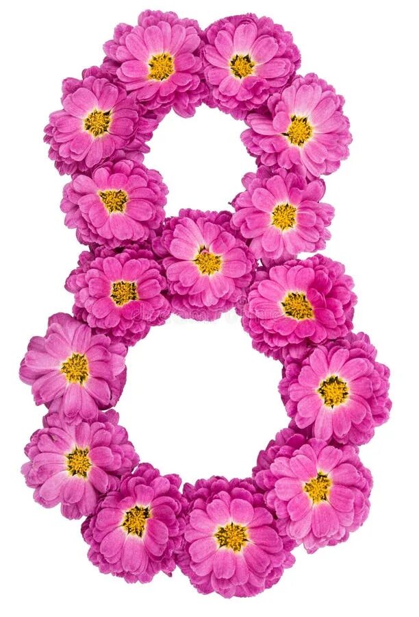 Число 8 из цветов. Цифра 8 из цветов. цифры из хризантем. цифра из цветков 8. цифра 8 из хризантем.