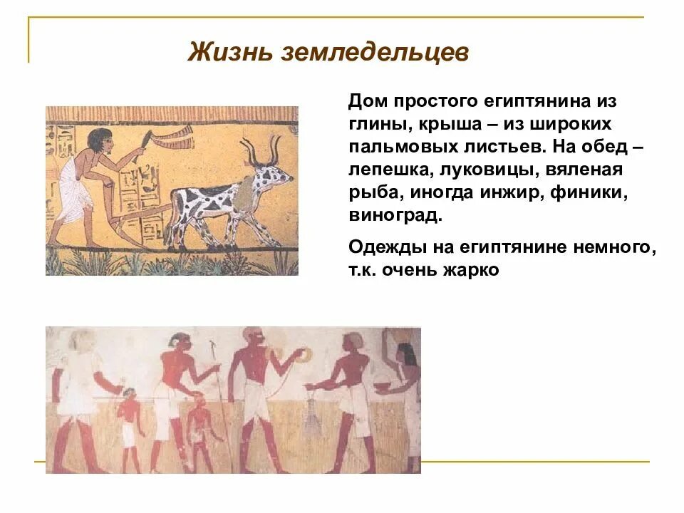 Один день из жизни египетского. История одежда земледельцев древний египет. рассказ о жизни земледельца в древнем египте. одежда египтян в египте земледельцев и ремесленников. рассказ один день из жизни земледельца в древнем египте.