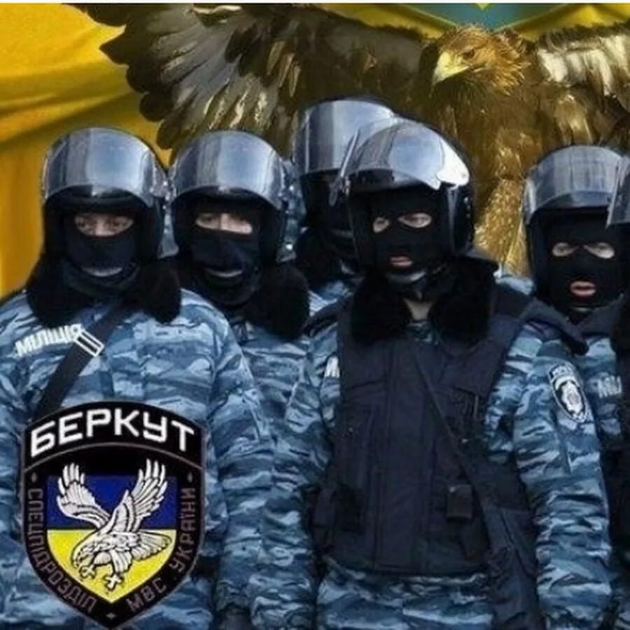 Соопр беркут. Номер беркута. Номер беркута. Номер беркута. Омон беркут 2014.