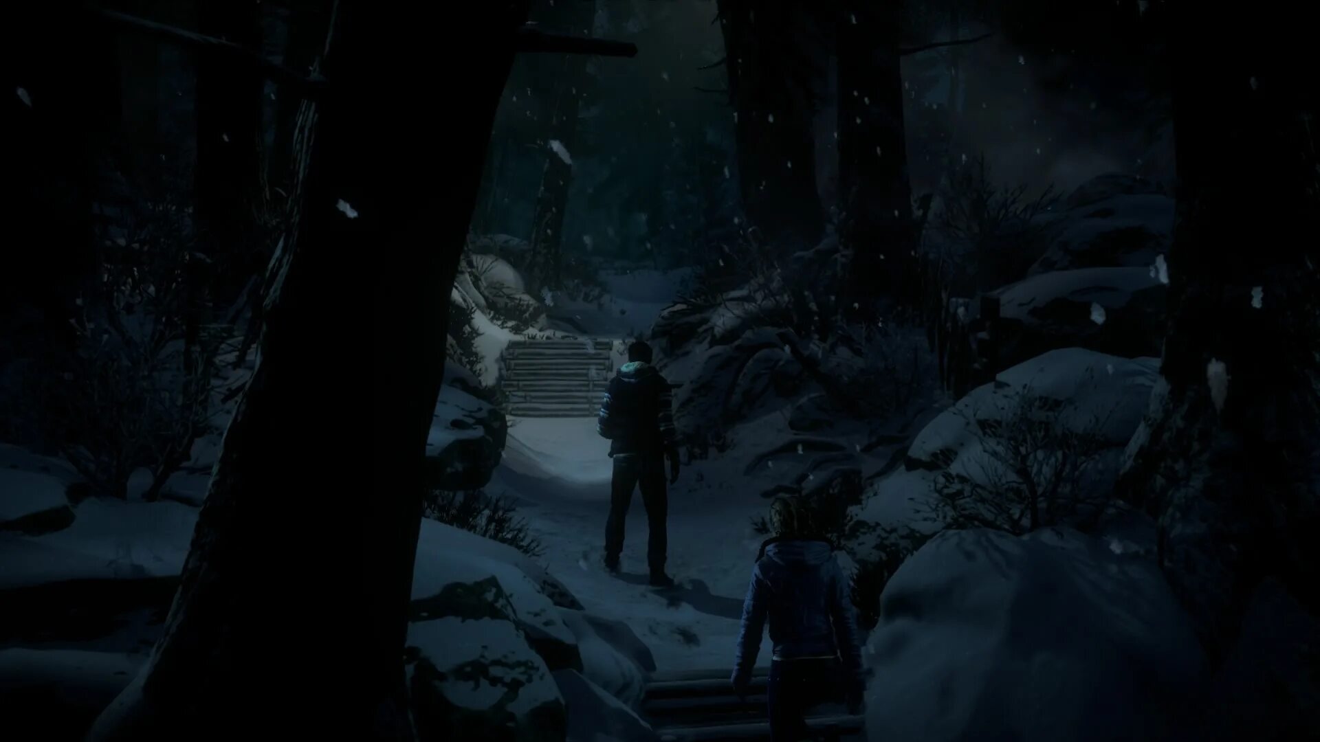 дожить до рассвета ps4. дожить до рассвета ps4 психолог. дожить до рассвета ps4. Until dawn ps4. дожить до рассвета ps4 обзор.