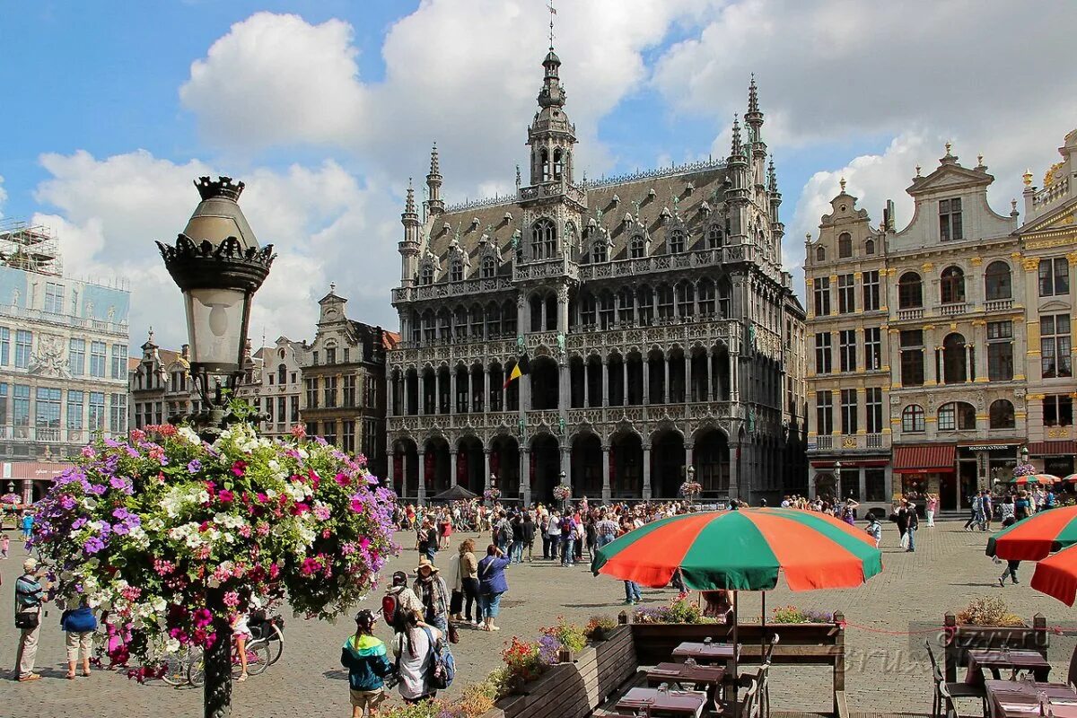 Гранд плас бельгия. Гран плас брюссель. Гранд плас брюссель. Бельгия дом короля. Брюссель площадь гран плас дом короля.
