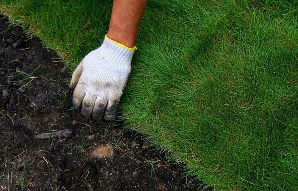 Прошивка газона. Искусственный спортивный газон. Газон казань. Прошивка газона. Иглы для футбольного поля.