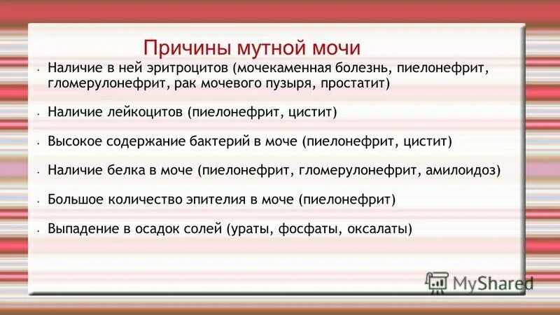 мутность мочи причины. мутность мочи причины. прозрачность мутная в моче. мутность мочи причины. мутная моча у ребенка.