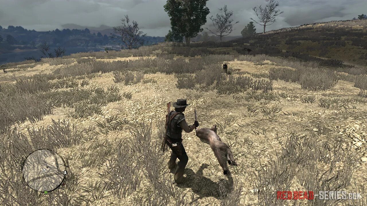 Rdr пума. Пума игуга red dead костюм.